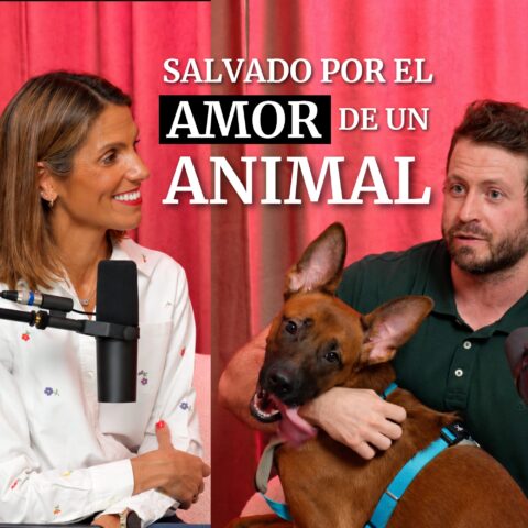 203. Prefiero el AMOR de mis PERROS al de las personas